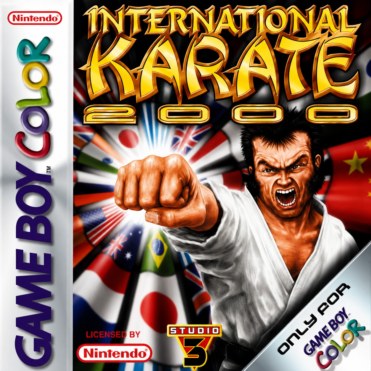International Karate 2000
