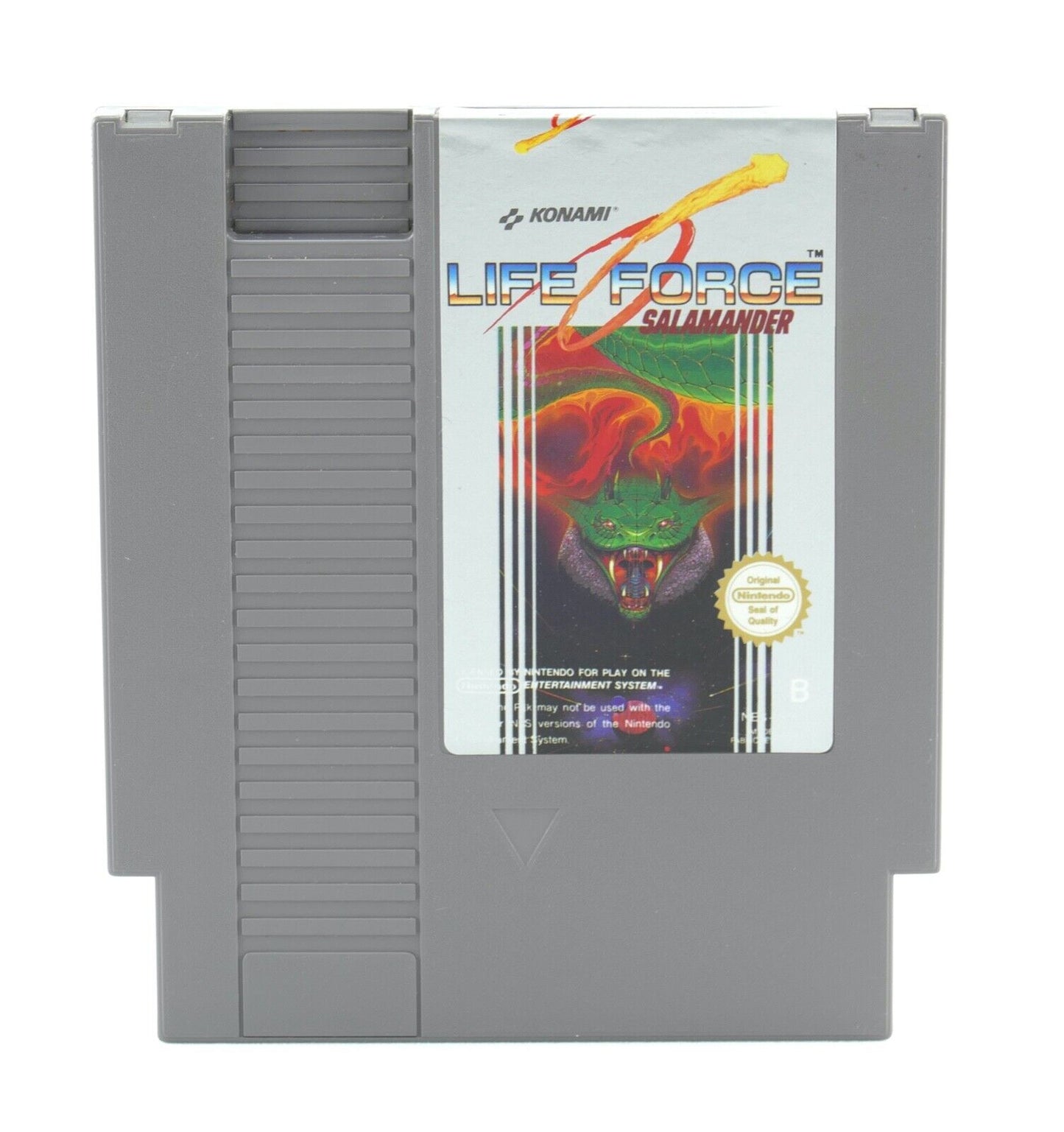 Life Force Salamander