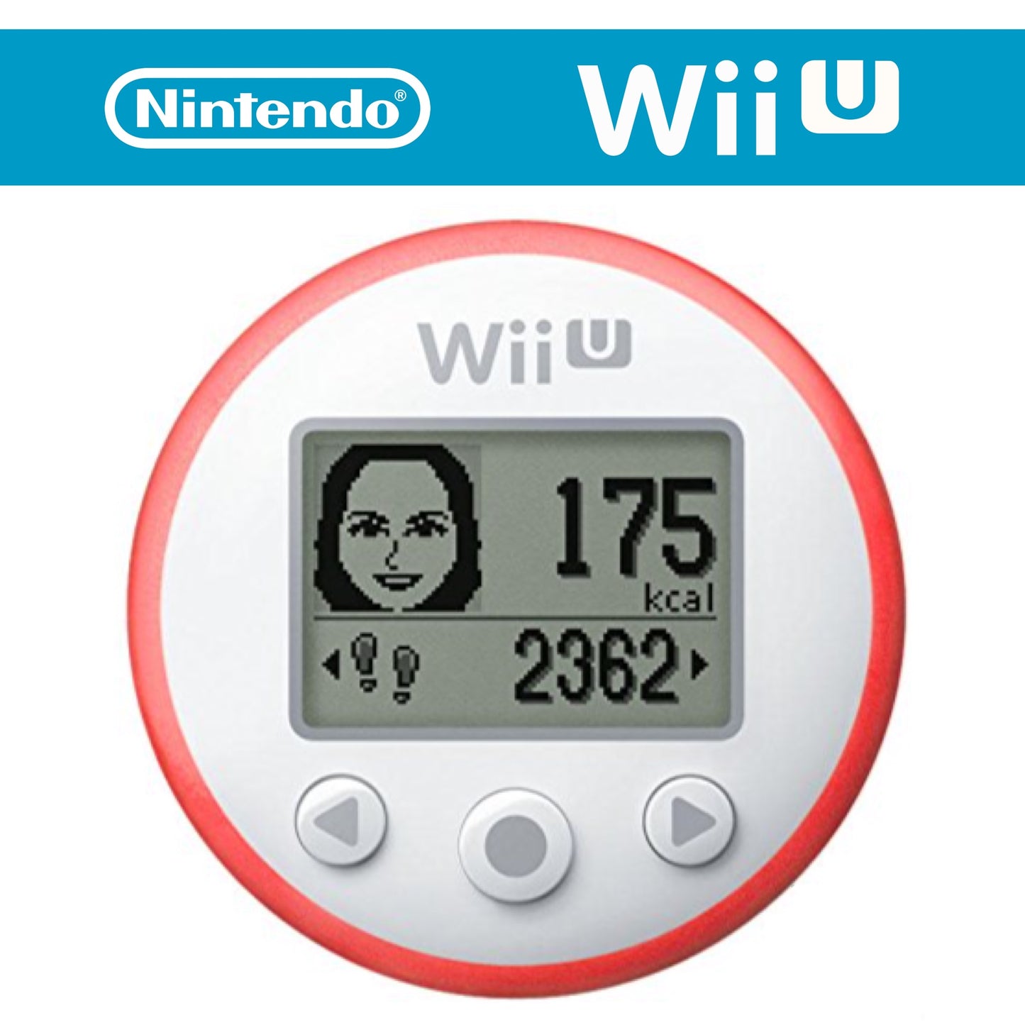 Original Wii Fit Meter