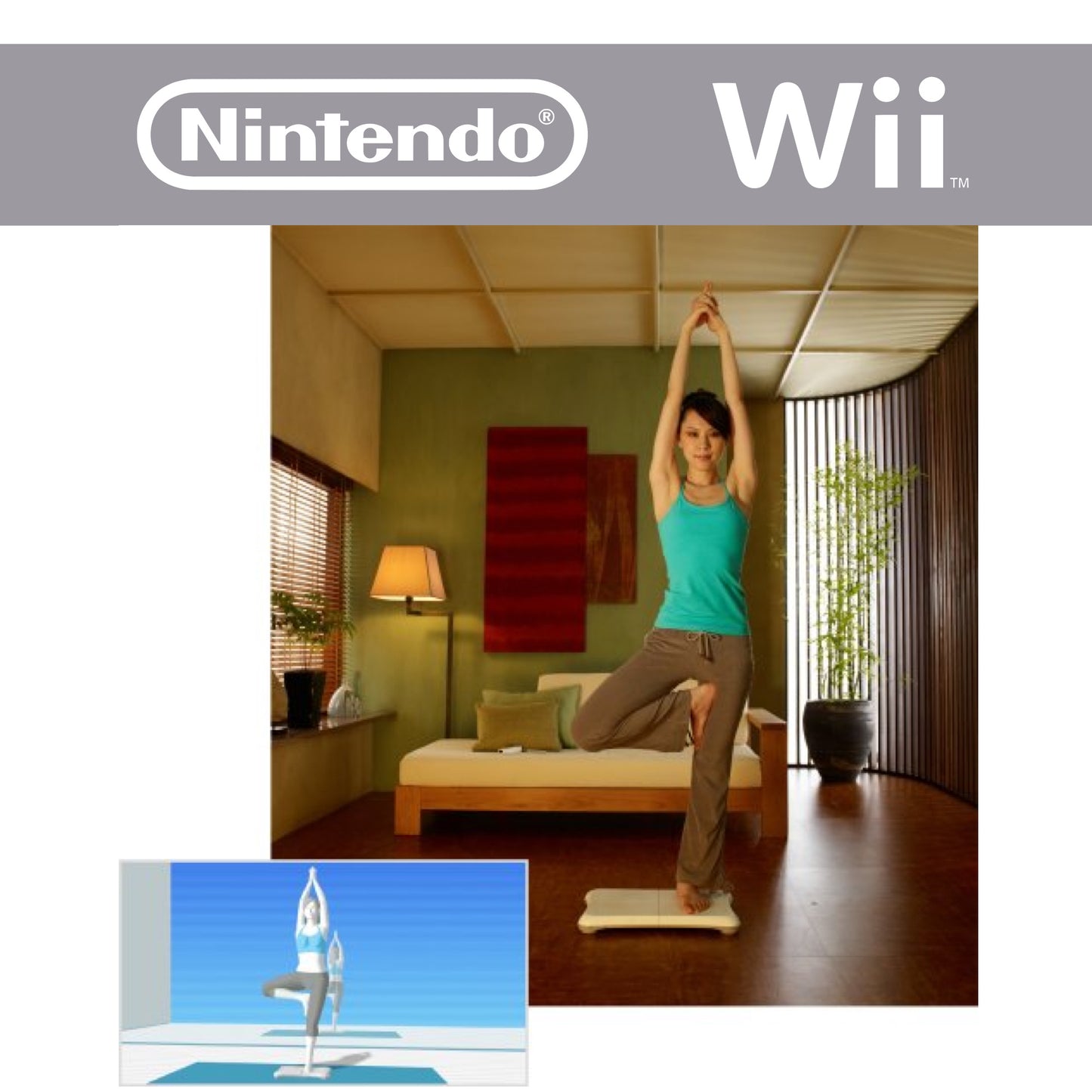 Original Balance Board inkl. Wii Fit in OVP