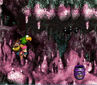 Donkey Kong Country 3