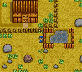 Harvest Moon