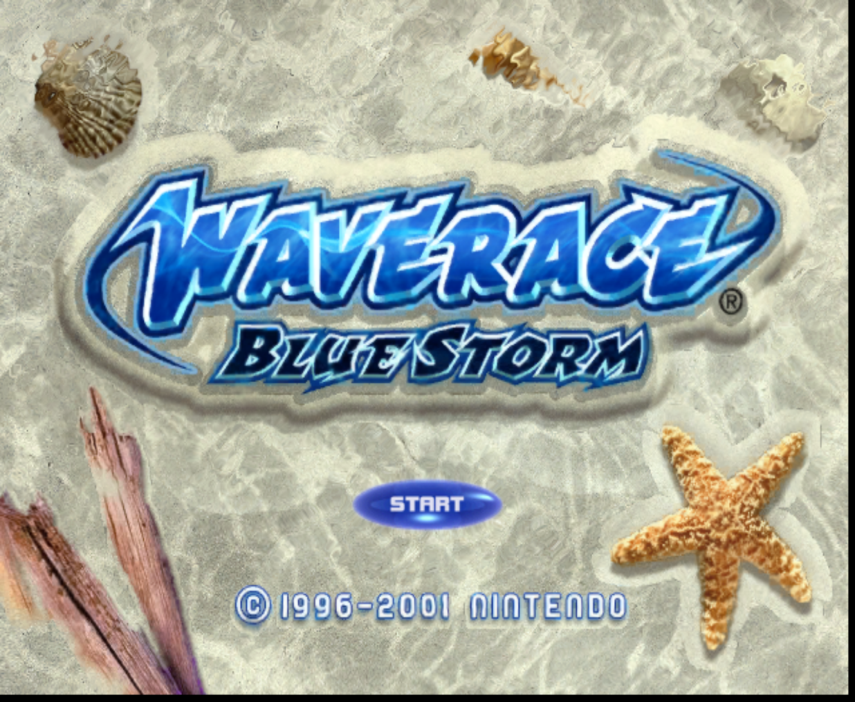 Wave Race Blue Storm