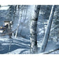 Assassin's Creed III / 3 🆕