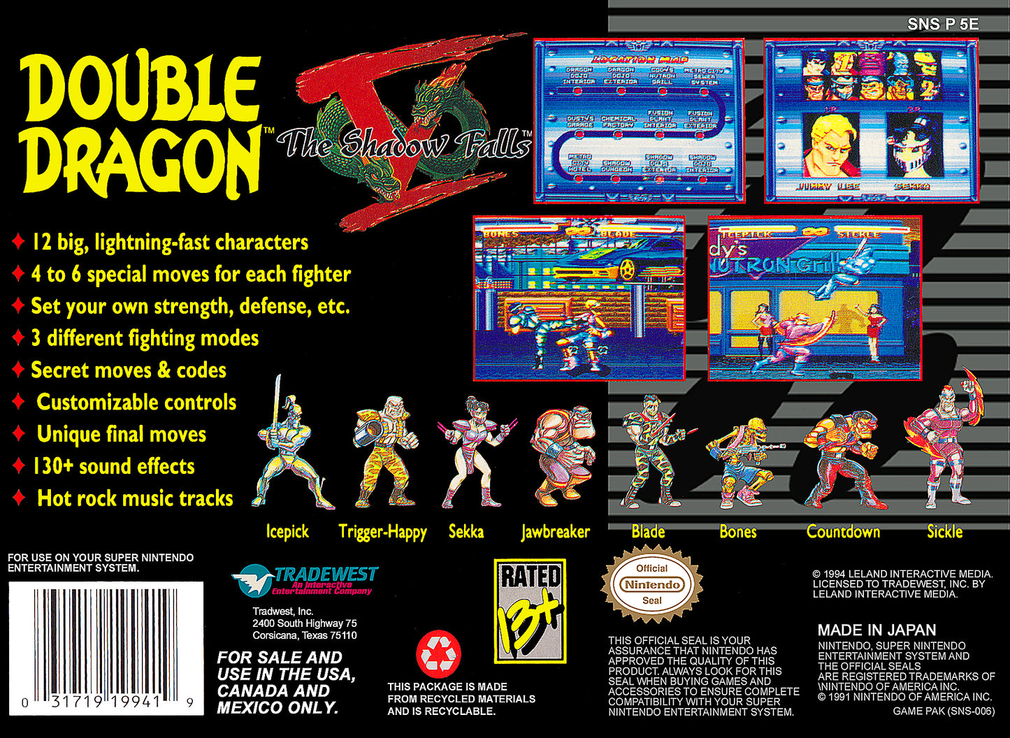 Double Dragon V - The Shadow Falls