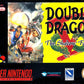 Double Dragon V - The Shadow Falls