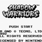 Shadow Warriors