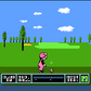 NES Open - Tournament Golf