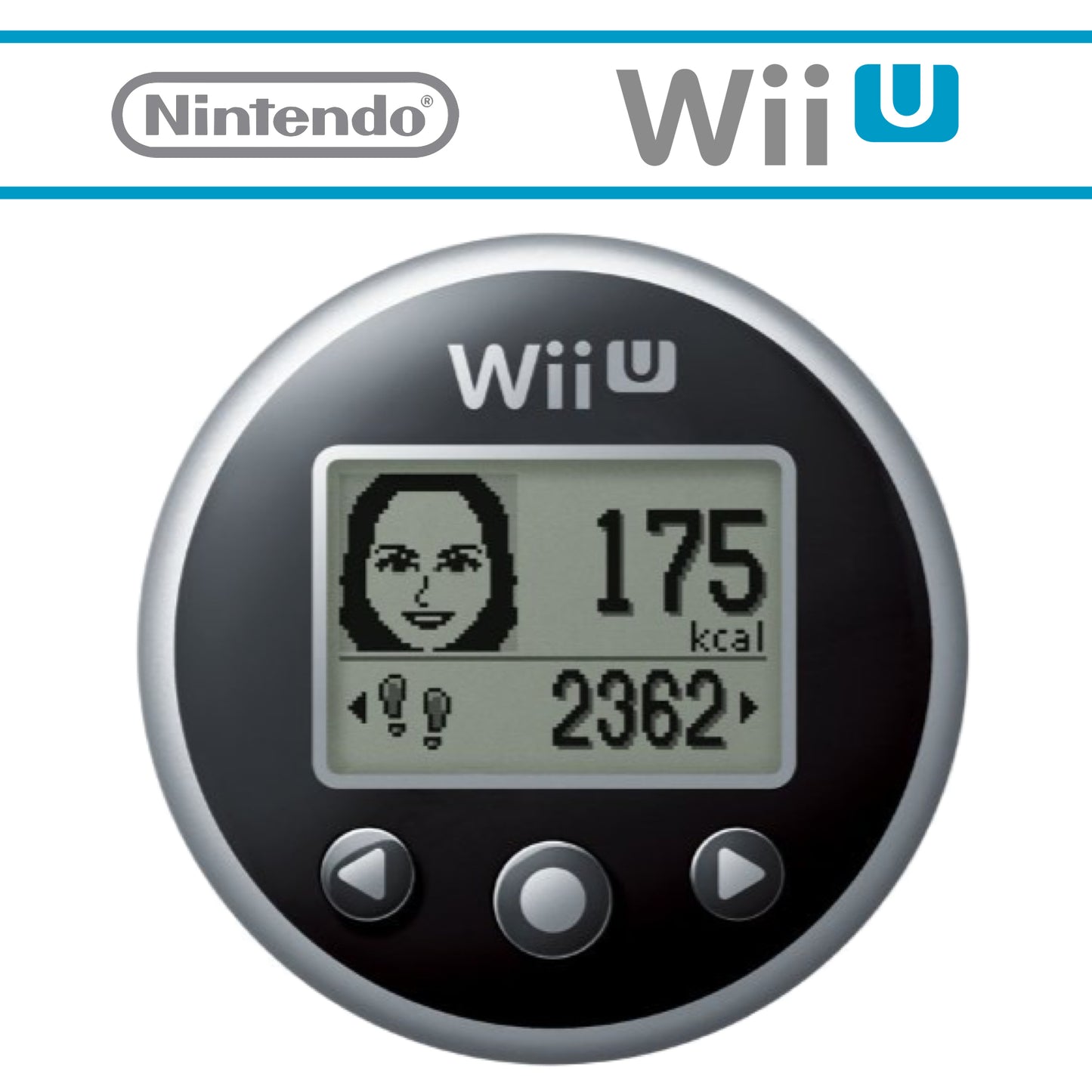 Original Wii Fit Meter